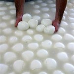 FILE - In this March 21, 2008 file photo, Buffalo mozzarella cheese is prepared at a dairy in Caserta, near Naples. Italian police confiscated some 70,000 balls of mozzarella in Turin after consumers noticed the milky-white cheese quickly developed a bluish tint when the package was opened. Agriculture Minister Giancarlo Calan ordered ministry laboratories to investigate what he called a disturbing development. State TV said Saturday, June 19, 2010, that a customer called police after noticing the mozzarella, made in Germany for an Italian company, turned blue after contact with air, and that several merchants in Turin received similar complaints about the cheese. (AP Photo/Franco Castano', File)